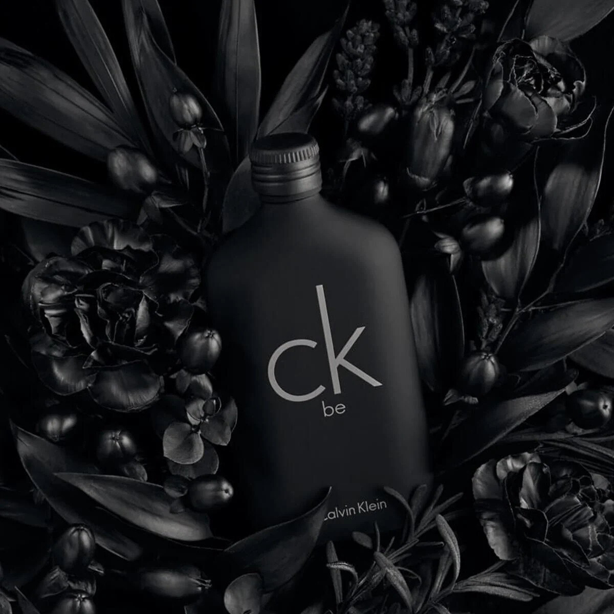 Calvin Klien perfume sale